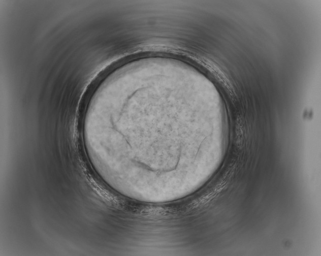 X0000096640880200803041124