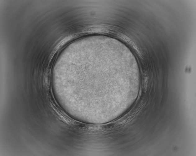 X0000096640882200803041124