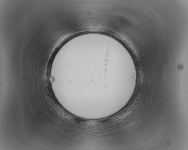 X0000096640883200803041124