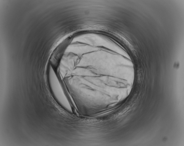 X0000096640885200803041124