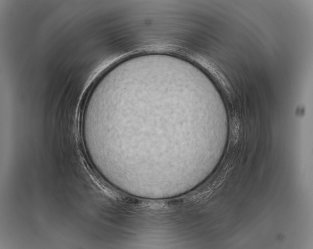 X0000096640886200803041124