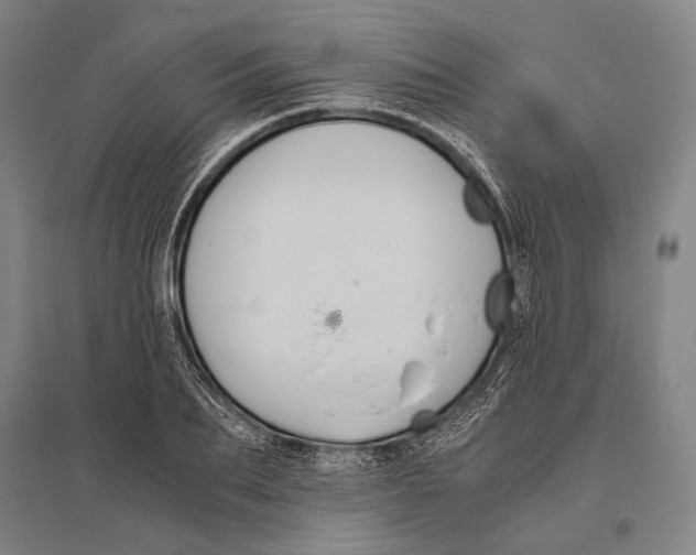 X0000096640887200803041124