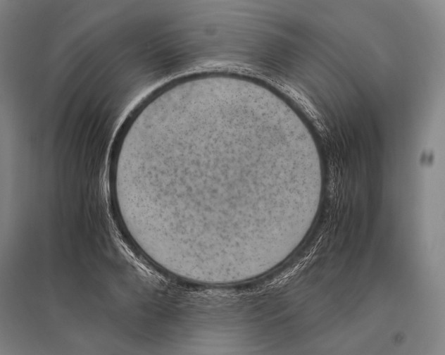 X0000096640888200803041124