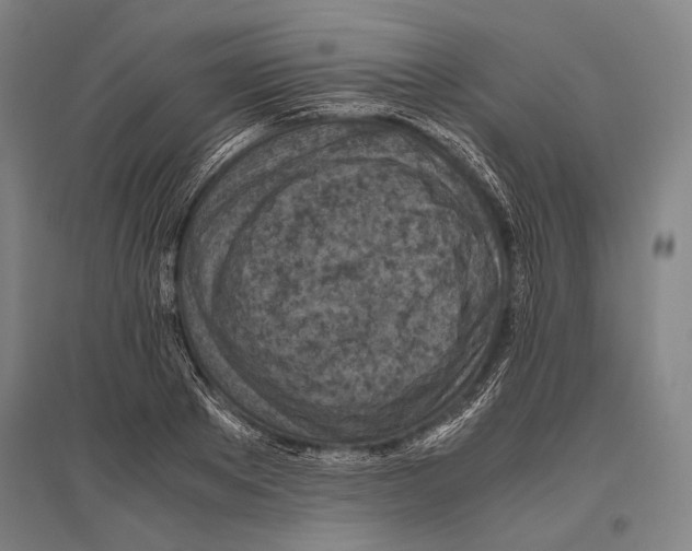 X0000096640889200803041124