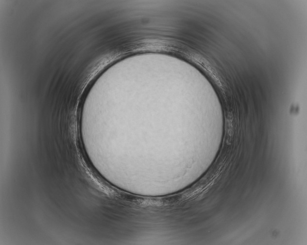 X0000096640890200803041124