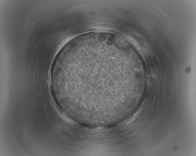 X0000096640891200803041124