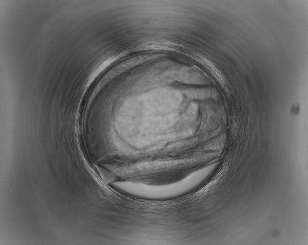 X0000096640893200803041124