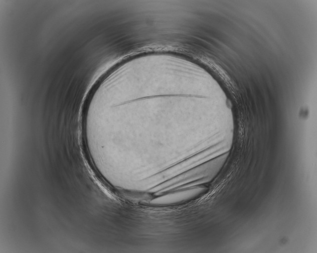 X0000096640894200803041124