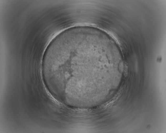 X0000096640895200803041124