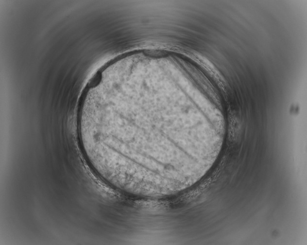 X0000096640896200803041124