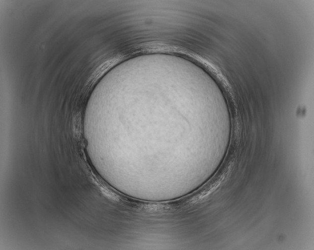 X0000096640897200803041124