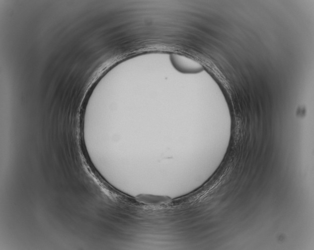 X0000096640898200803041124