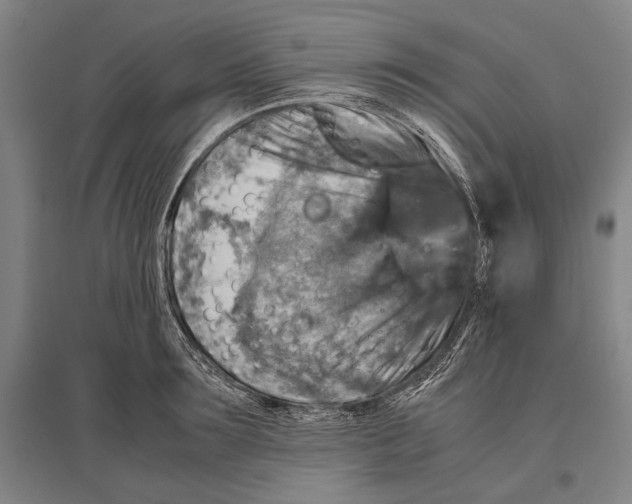 X0000096640899200803041124