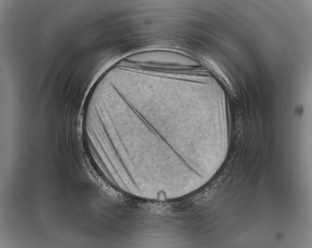 X0000096640900200803041124