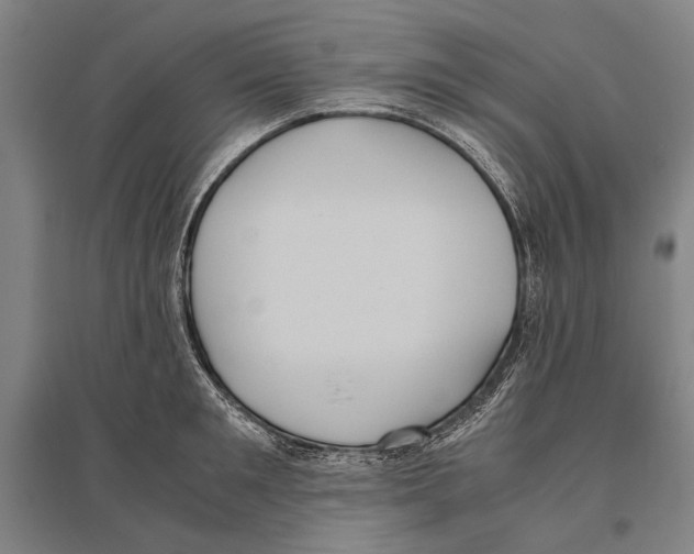 X0000096640901200803041124