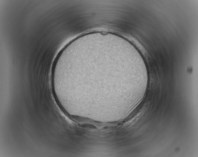 X0000096640902200803041124