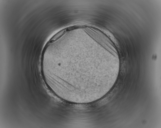 X0000096640904200803041124