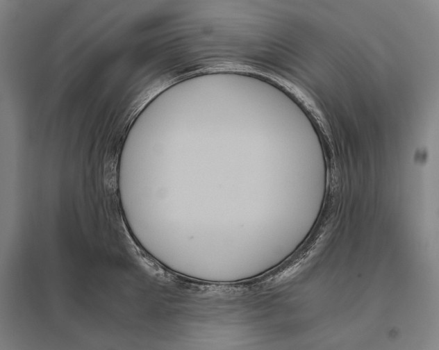 X0000096640905200803041124