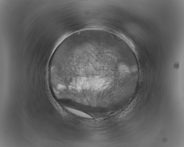 X0000096640907200803041123