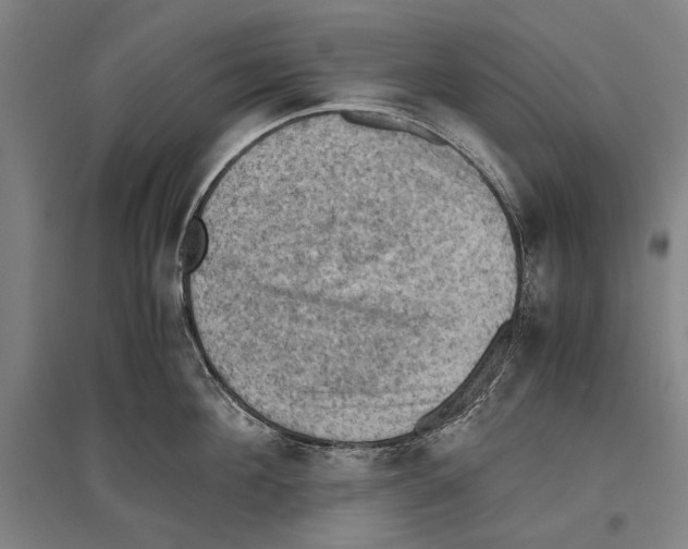 X0000096640908200803041123