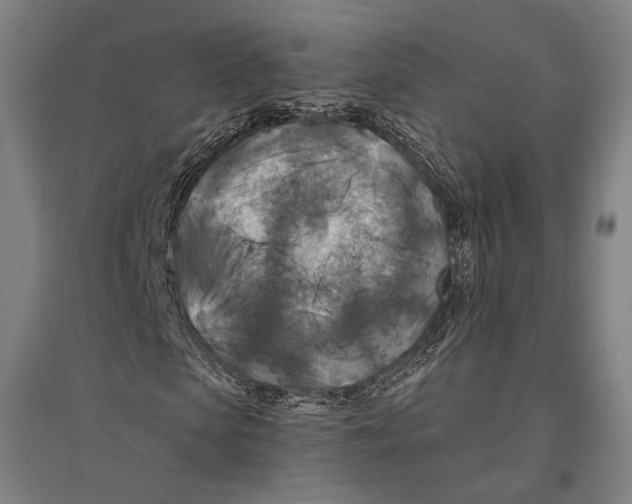 X0000096640913200803041123