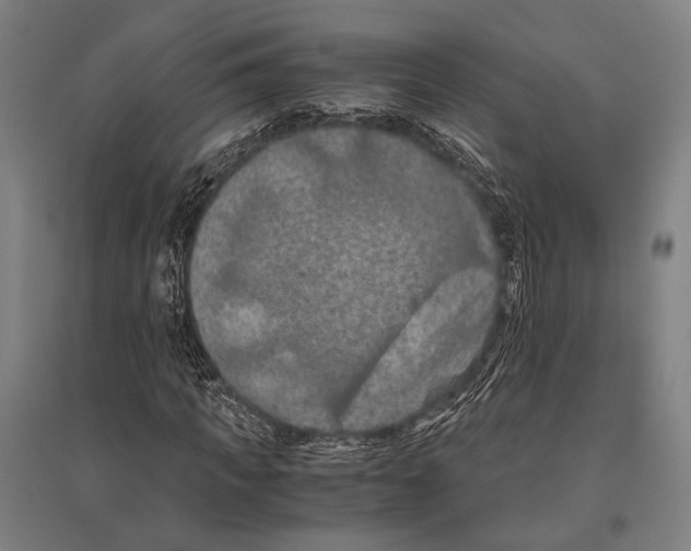 X0000096640917200803041123