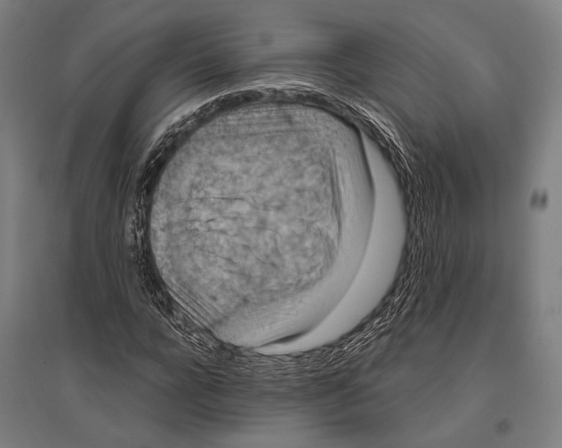 X0000096640920200803041123