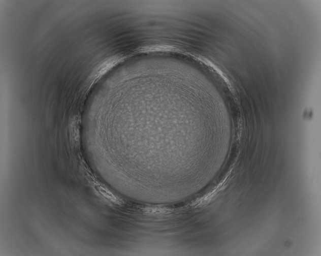 X0000096640921200803041123