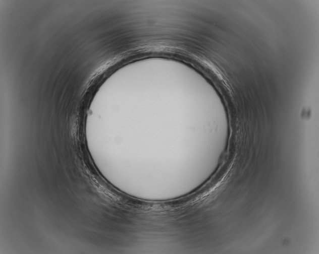 X0000096640922200803041123