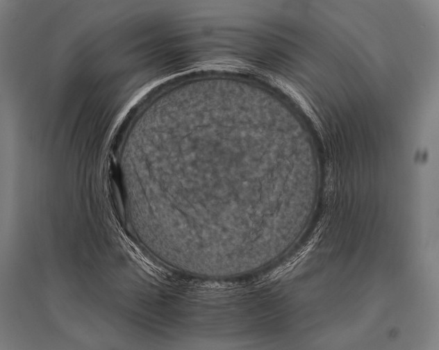 X0000096640923200803041123