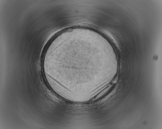 X0000096640924200803041123