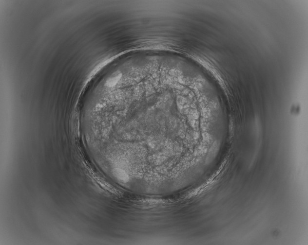 X0000096640925200803041123