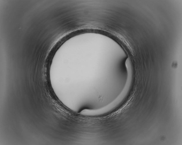 X0000096640926200803041123