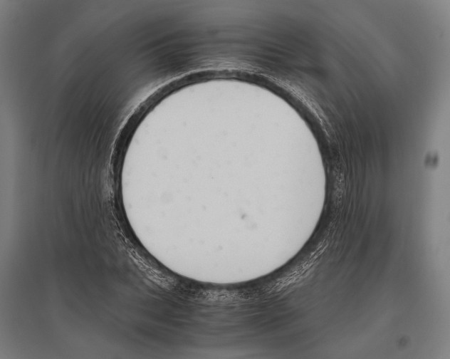 X0000096640927200803041123