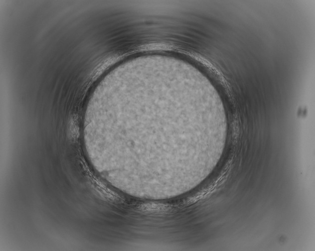 X0000096640929200803041123