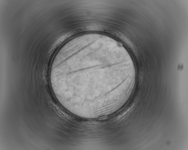 X0000096640930200803041123