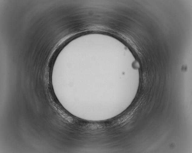 X0000096640931200803041123