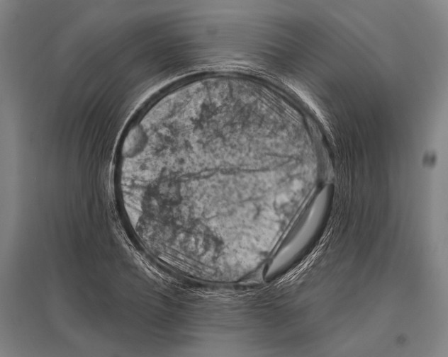 X0000096640932200803041123