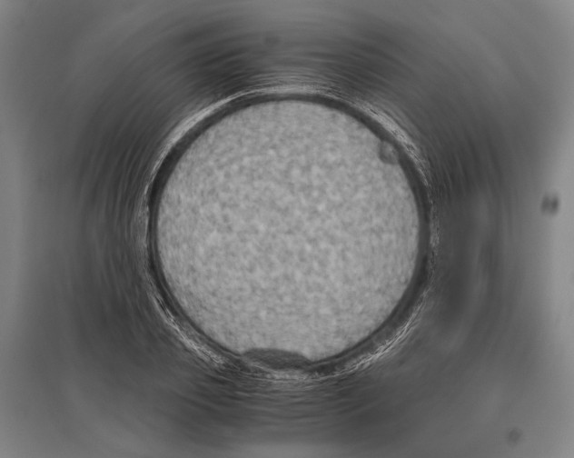 X0000096640933200803041123