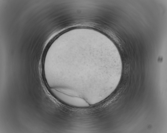 X0000096640936200803041123