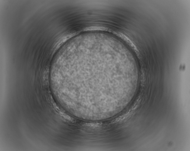 X0000096640937200803041123