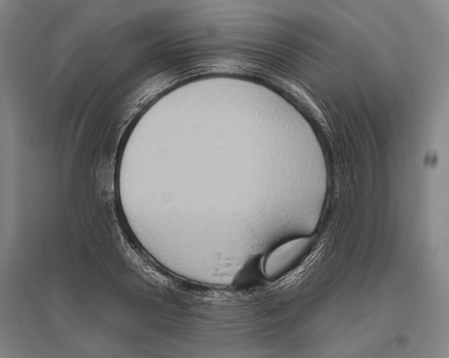 X0000096640938200803041123