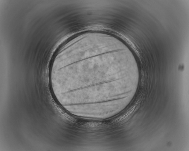 X0000096640939200803041123