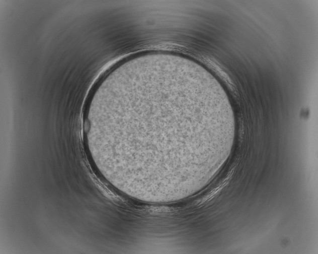 X0000096640940200803041123