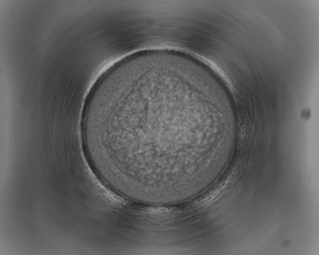 X0000096640943200803041123