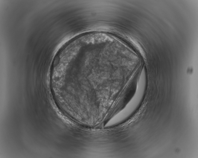 X0000096640944200803041123