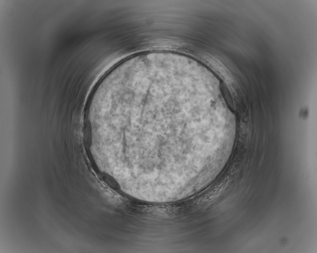 X0000096640948200803041123