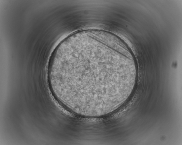 X0000096640949200803041123