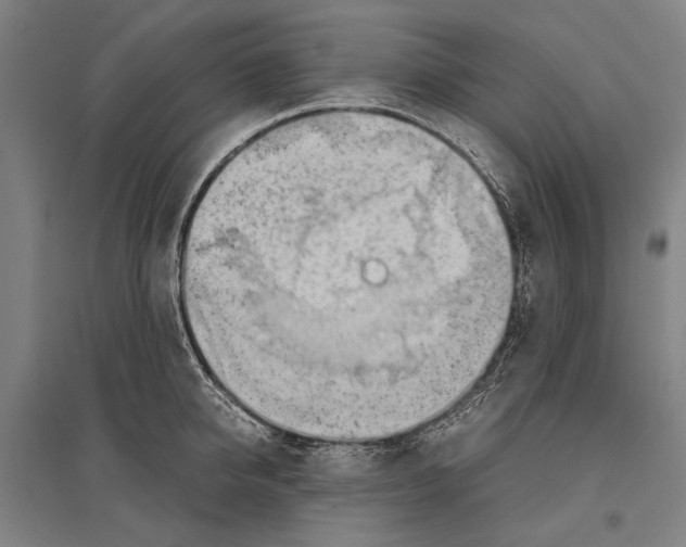 X0000096640950200803041123