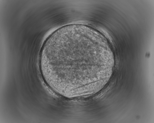 X0000096640952200803041123